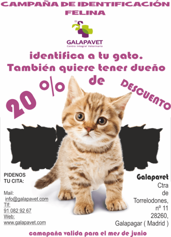 Carteleria