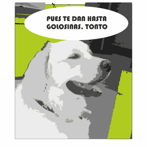 comic publicitario galapavet 2