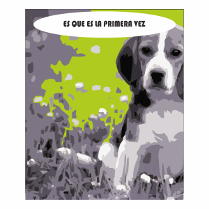comic publicitario galapavet 3