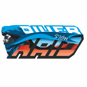 REDISEÑO LOGOTIPO DIVERRAID