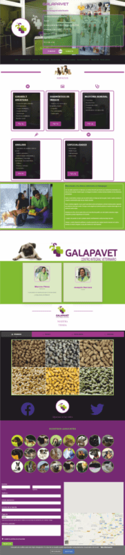 REDISEÑO DE LA WEB DE GALAPAVET.